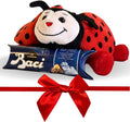 NARAMAKI® Idea Regalo Festa della Mamma 2025 - Peluche Coccinella 20cm + Tubino Baci Perugina 37,5gr - Confezione Regalo (COCCINELLA)