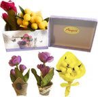 - Scatola Regalo Floreale + Mimose Finte + Cuscino a Cuore "Tu Sei Speciale" + Omaggio Calamita Fiori - Regalo Donna/Amica, Compleanno