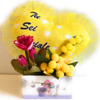 - Scatola Regalo Floreale + Mimose Finte + Cuscino a Cuore "Tu Sei Speciale" + Omaggio Calamita Fiori - Regalo Donna/Amica, Compleanno